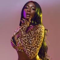 Виконавець Megan Thee Stallion