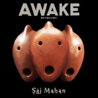 Saj Mahan - The Way - Original Mix