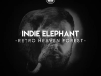 Indie Elephant - Retro Heaven Forest