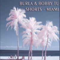 BURLA - burla & bobby tu shorts (miami)