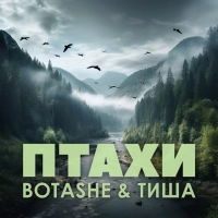 Botashe, Тиша - Птахи 