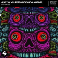 Juicy M, Subshock, Evangelos - Psyhaus