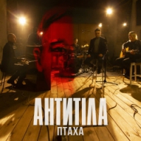 Antytila - Птаха