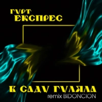 Гурт Експрес, BID0NCI0N - В саду гуляла - BID0NCI0N Remix