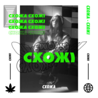 Схожа - ПБ - Live