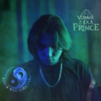 V $ XV PRiNCE - Точка или Запятая